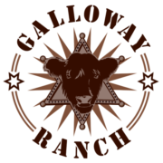 (c) Galloway-star-ranch.de